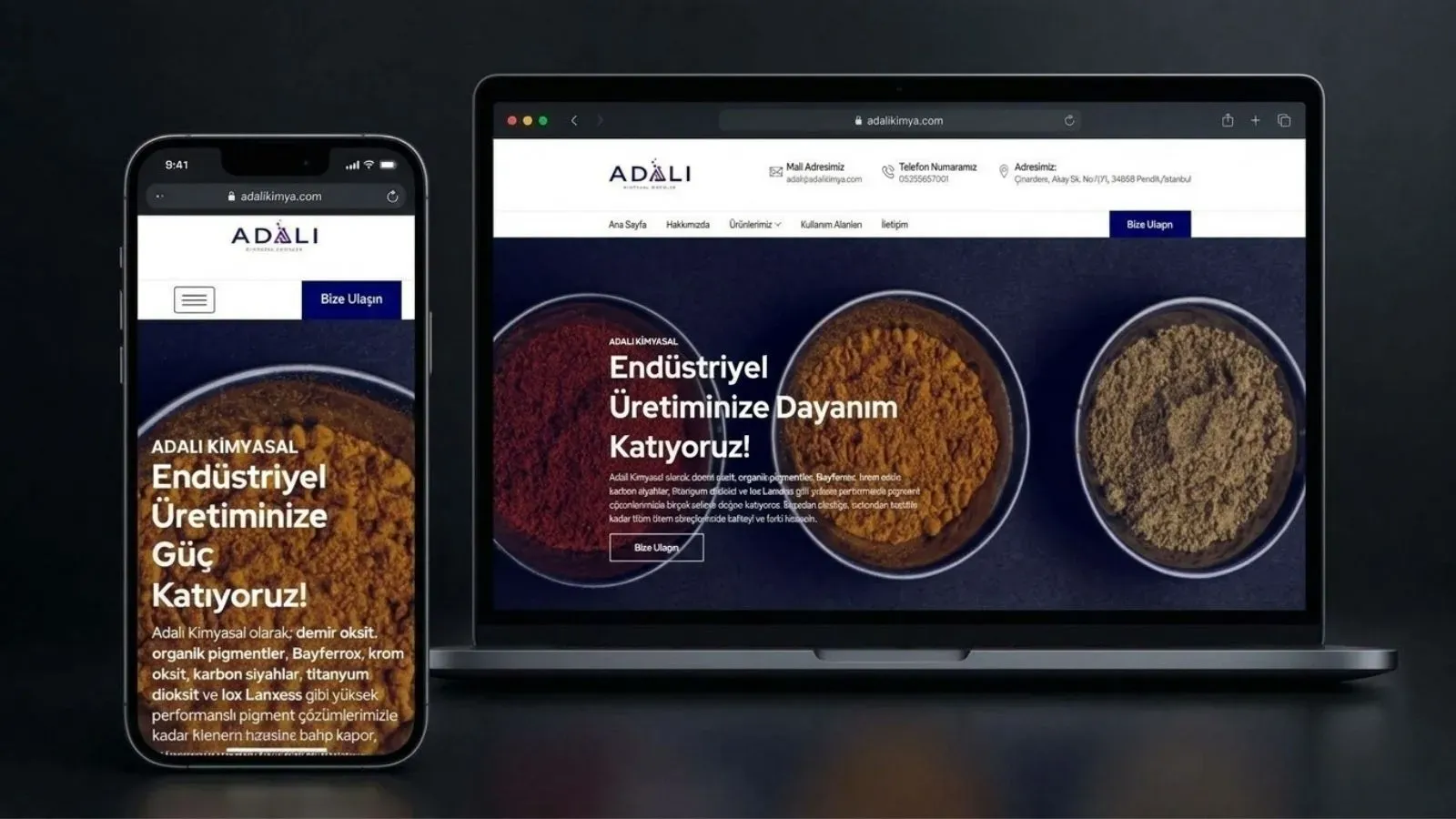 Adalı Kimyasal Ürünler kurumsal web sitesinin masaüstü ve mobil görünümü — ÇözümWEB Tasarım projesi